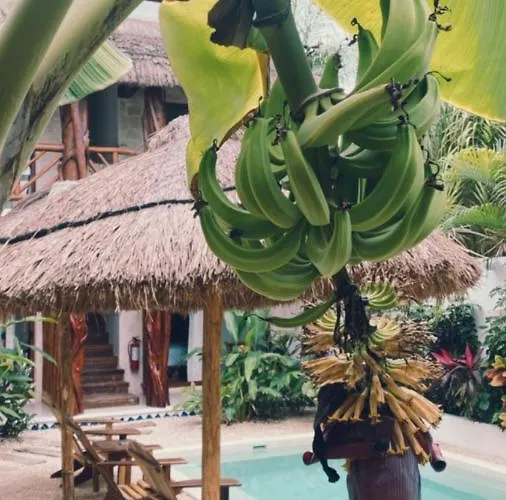Caribena Tulum